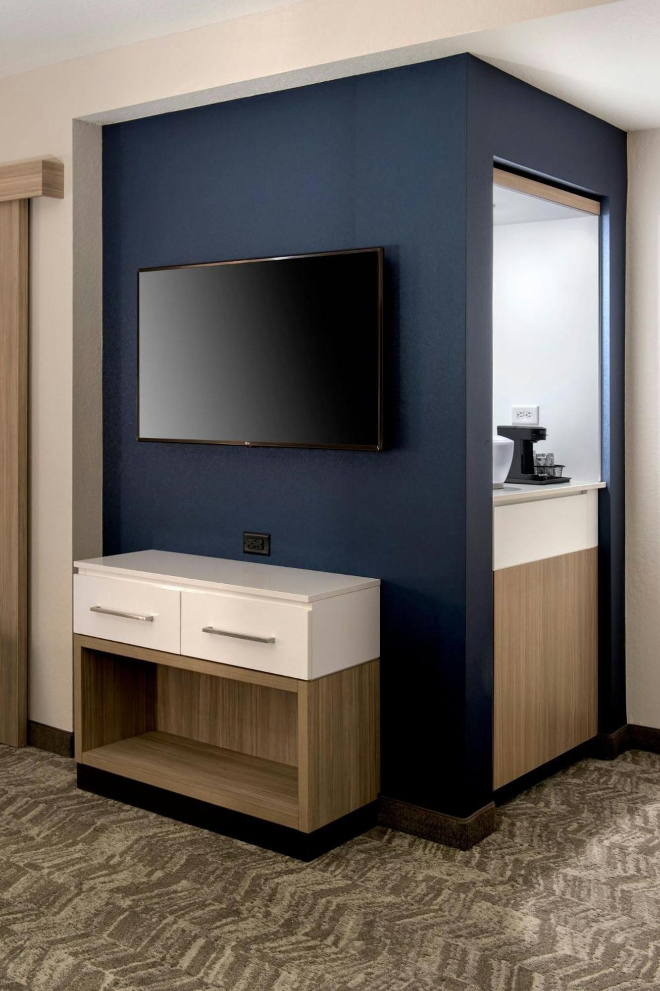 Springhill Suites By Marriott Tampa Suncoast Parkway Ленд-О-Лейкс Экстерьер фото